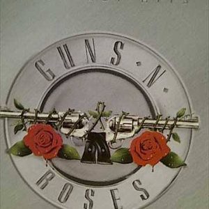 Guns n Roses: Guns and Roses : Greatest Hits : CD