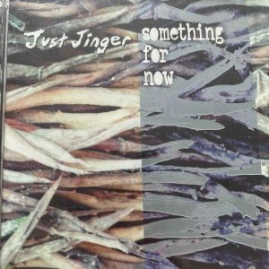 Just Jinger : Something For Now : CD