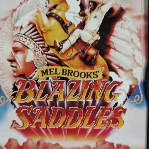 Blazing Saddles : Mel Brooks : Comedy / Western : DVD