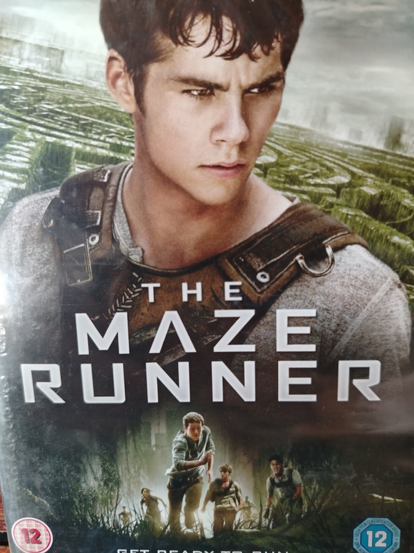 The Maze Runner : W. Ball : Sci Fi/Action : DVD