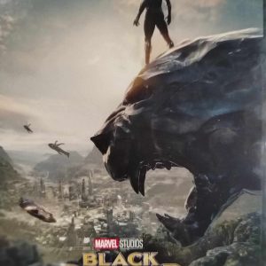 Black Panther : Ryan Coogler : Superhero Action : DVD