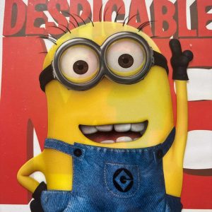 Despicable Me : Pierre Coffin, Chris Renaud : Animation / Comedy : DVD