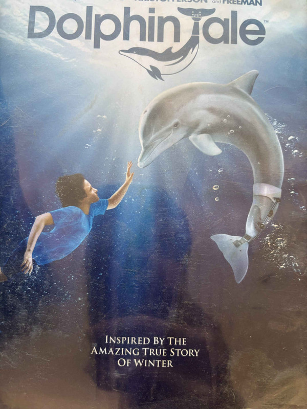 Dolphin Tale : Charles Martin Smith : Drama / Family : DVD