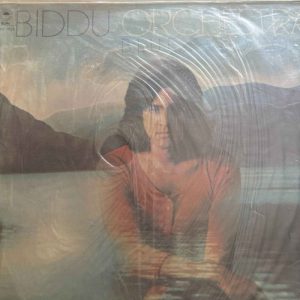 Biddu Orchestra : Biddu Orchestra : LP Cond. = VG