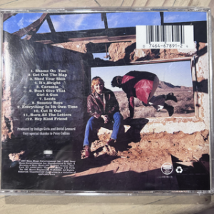 Indigo Girls : Shaming of the Sun : CD
