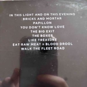 Editors: In This Light and On This Evening : CD