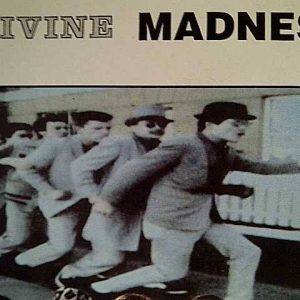 MADNESS: DIVINE MADNESS : CD