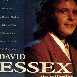 DAVID ESSEX: THE COLLECTION : CD