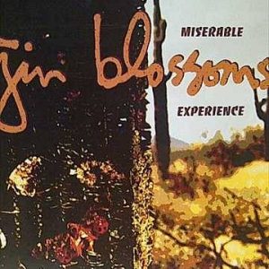 GIN BLOSSOMS: NEW MISERABLE EXPERIENCE : CD
