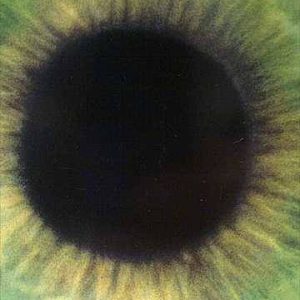 Stiltskin: The Minds Eye : CD