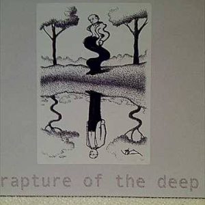 Deep Purple: Rapture of the Deep : CD