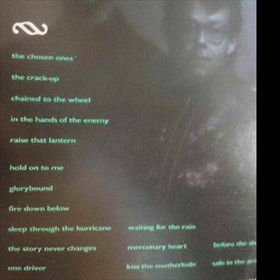 The Black Sorrows : Hold on to me : CD