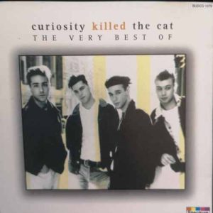 Curiosity Killed the Cat : The very best of : CD
