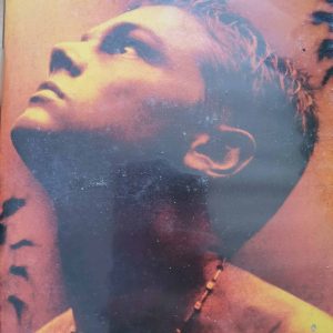 The Beach : Danny Boyle : Adventure / Drama / Romance : DVD