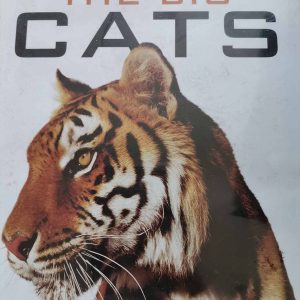 The Big Cats : Various : Documentary / Nature : DVD