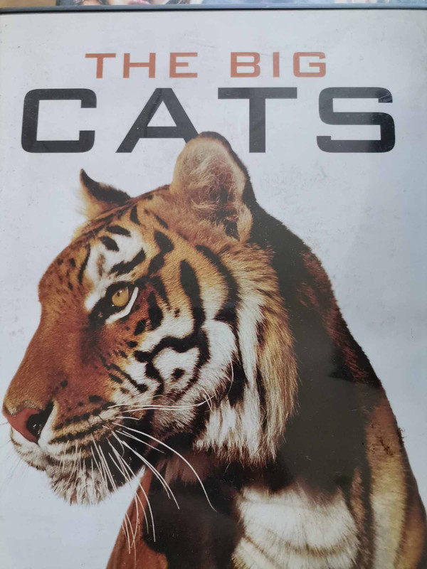 The Big Cats : Various : Documentary / Nature : DVD