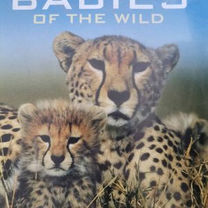 Babies of the Wild : Various : Documentary / Nature : DVD