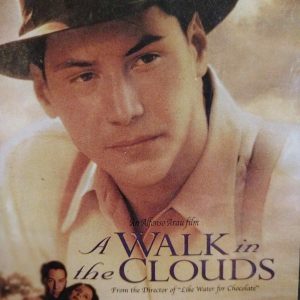 A Walk in the Clouds : Alfonso Arau : Drama/Romance : DVD