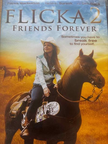 Flicka 2 : Michael Damian : Family/Drama : DVD