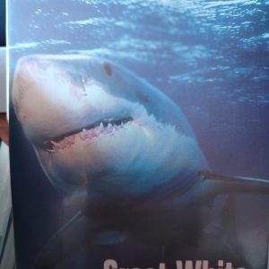 Great White : Martin Wilson : Horror/Thriller : DVD