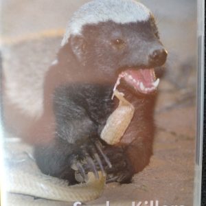 Snake Killers - Honey badgers of the Kalahari : Documentary : DVD